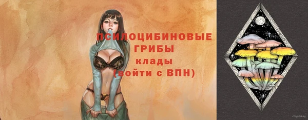 spice Абаза