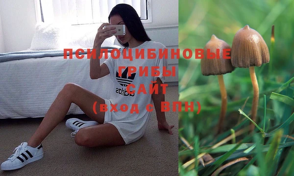 Альфа ПВП Абдулино