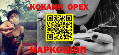сатива Краснодар