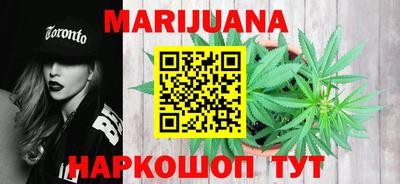 сатива Краснодар