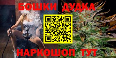 сатива Краснодар