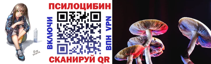 купить наркотик Одинцово Псилоцибиновые грибы Cubensis