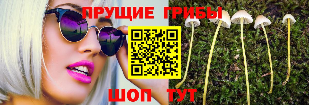 купить наркотики цена  Псилоцибиновые грибы MAGIC MUSHROOMS  Вход с VPN  Одинцово 